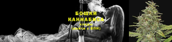 ПСИЛОЦИБИНОВЫЕ ГРИБЫ Зеленодольск